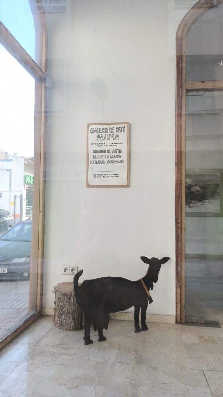 Galería de Arte Avima