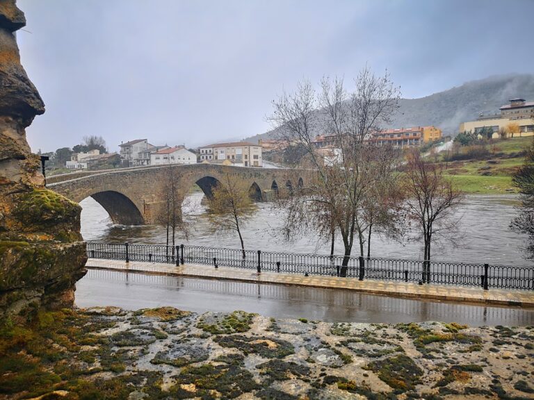 Judías del Barco de Ávila