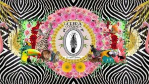La Cebra Coronada