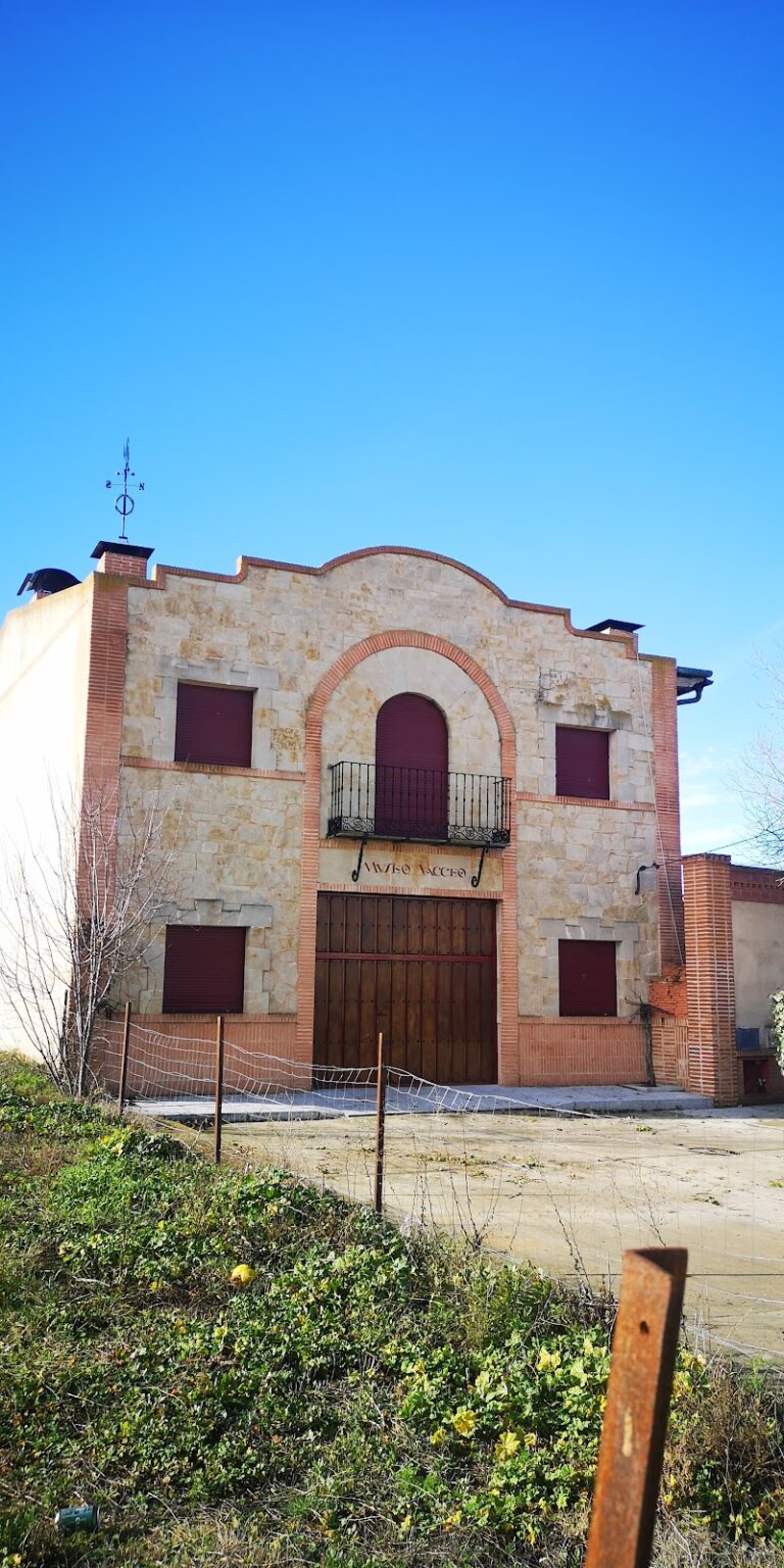Museo Vacceo