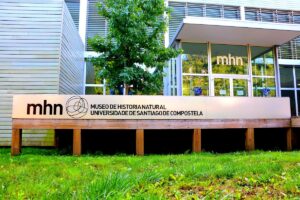 Museo de Historia Local