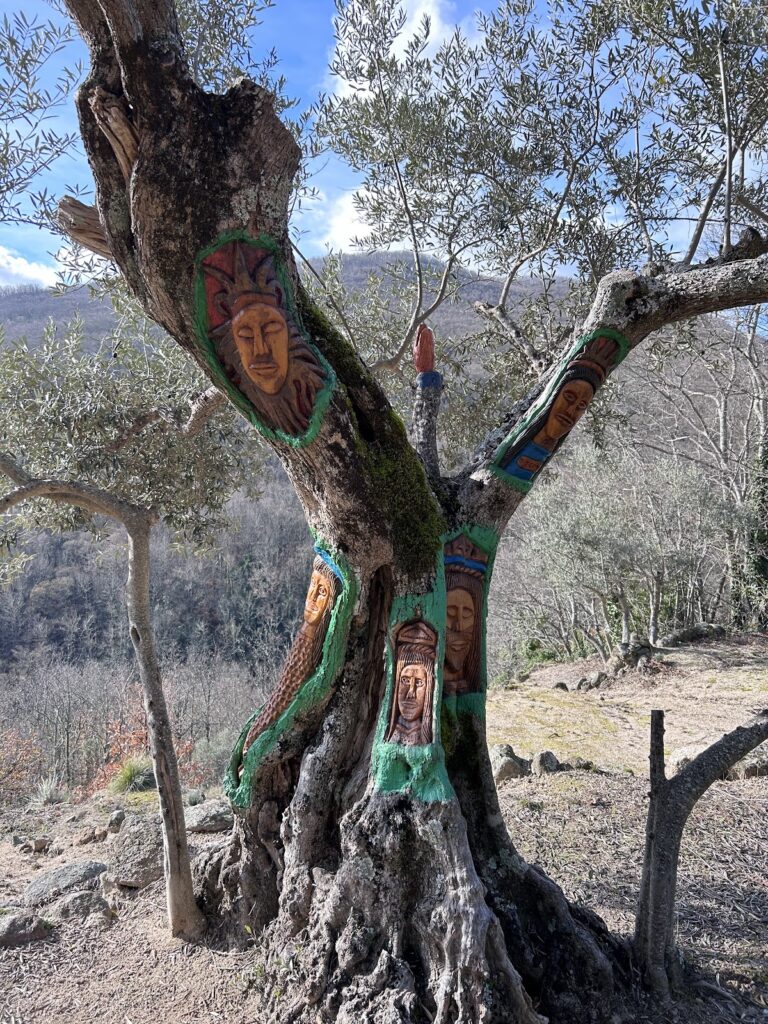 Ruta de Los Espejos: Sequeros- Casas del Conde-San Martin del Castañar