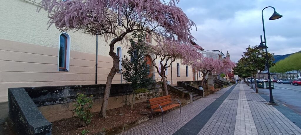 SALA CULTURAL CAPILLA