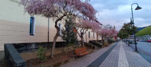 SALA CULTURAL CAPILLA