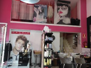 Galería MT