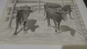 Ganadería toros