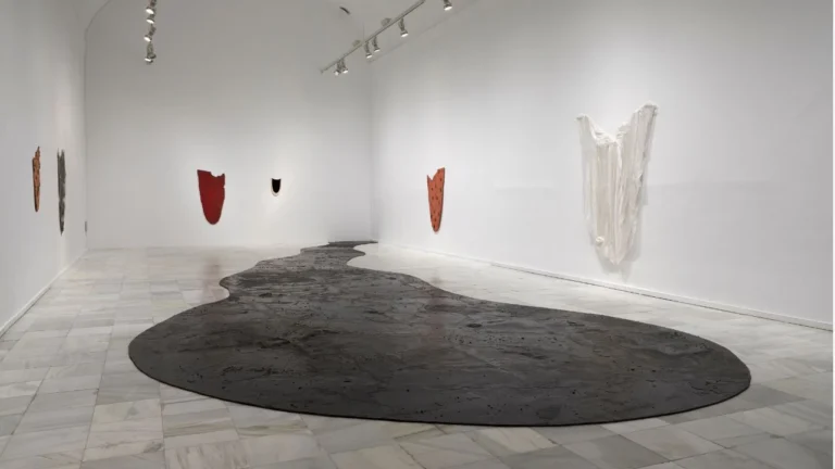 Acceso gratuito y descuentos en el Museo Reina Sofía