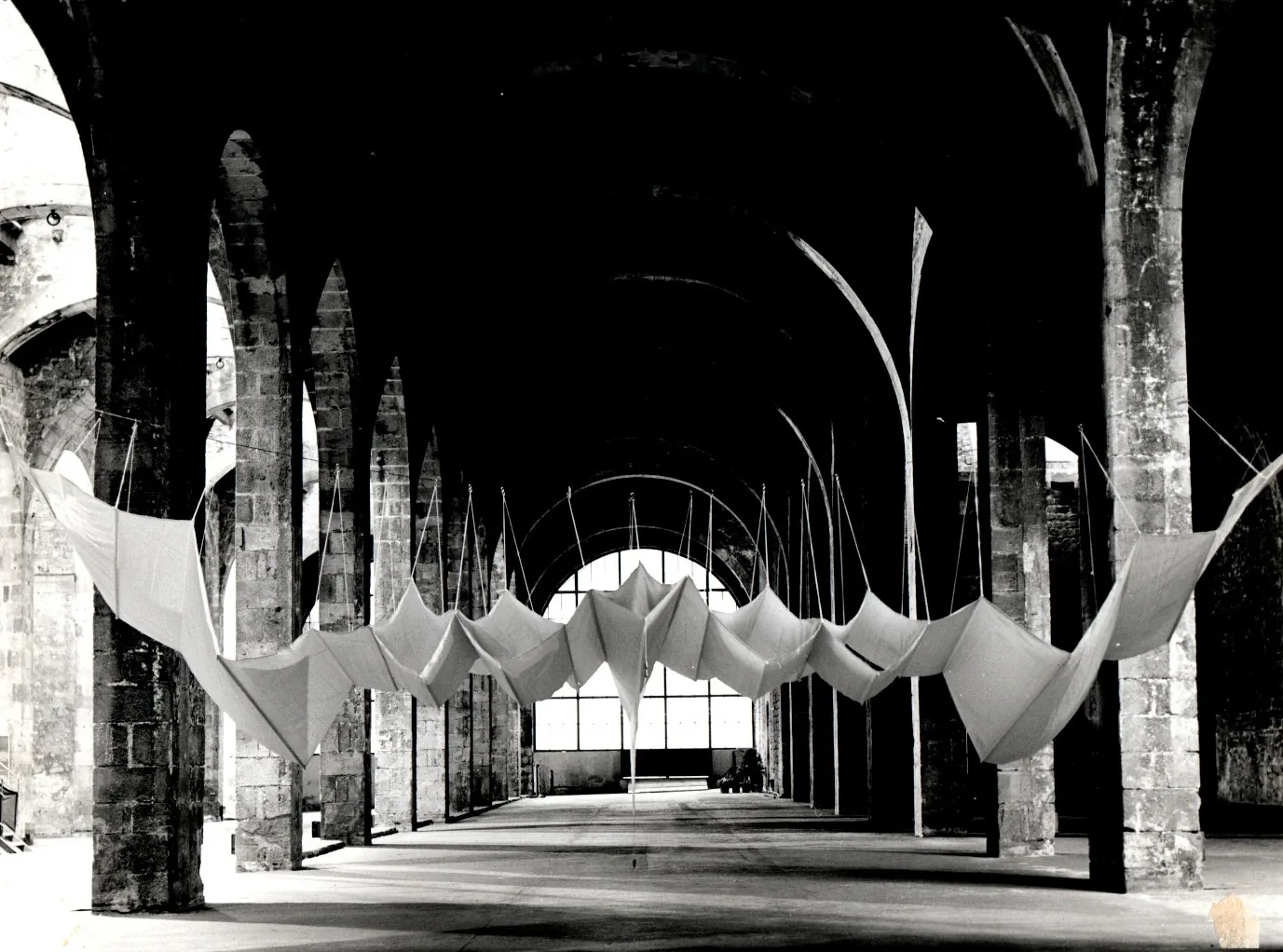 Aurèlia Muñoz: Entes