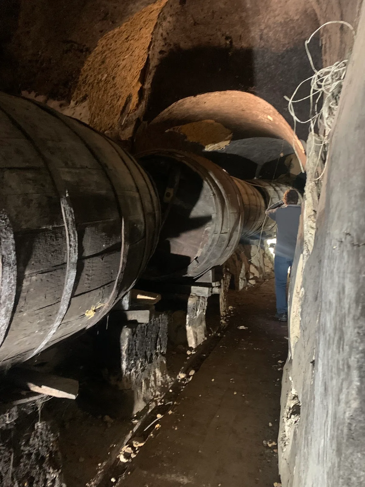 ABCD Asociación de Bodegas y Cuevas de Dueñas