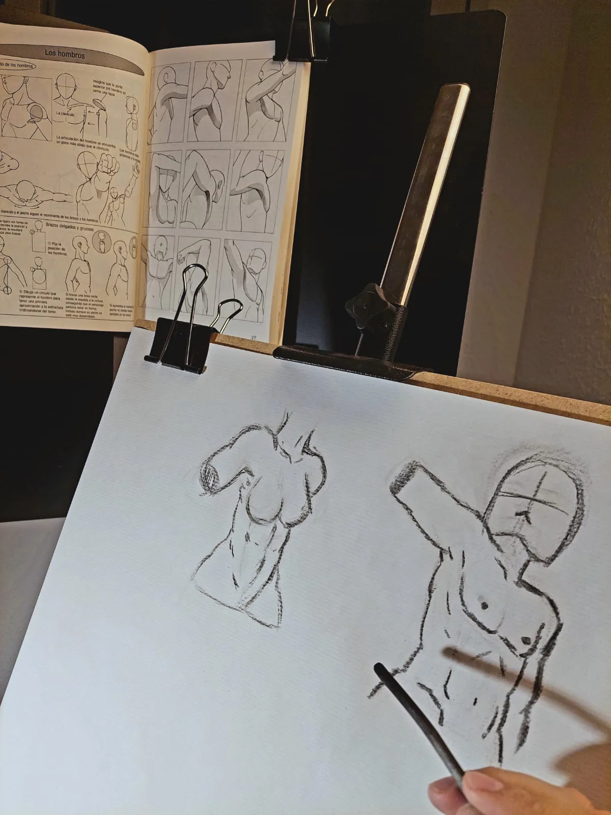 Academia de dibujo y pintura: El bufón creativo
