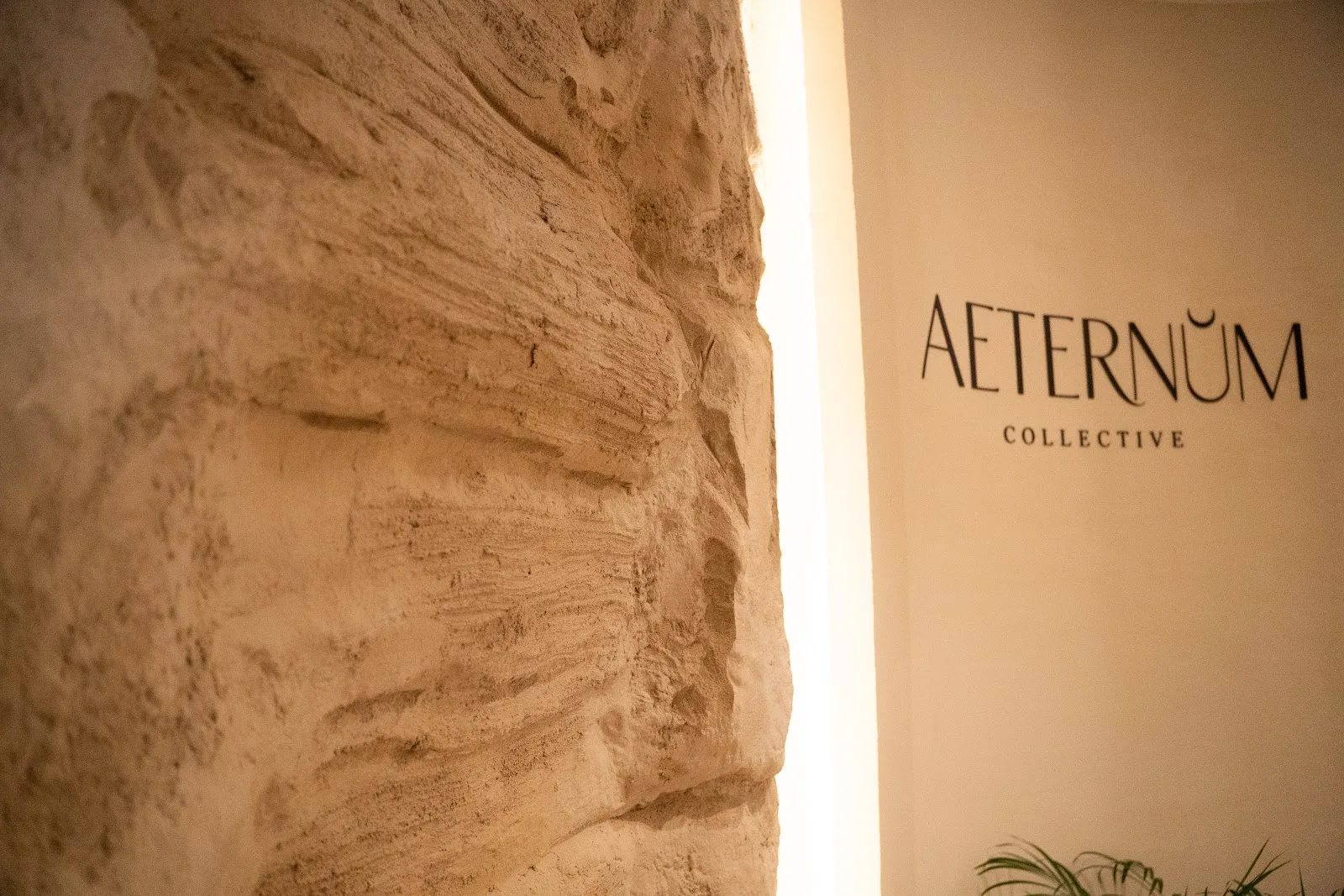 AETERNUM Collective