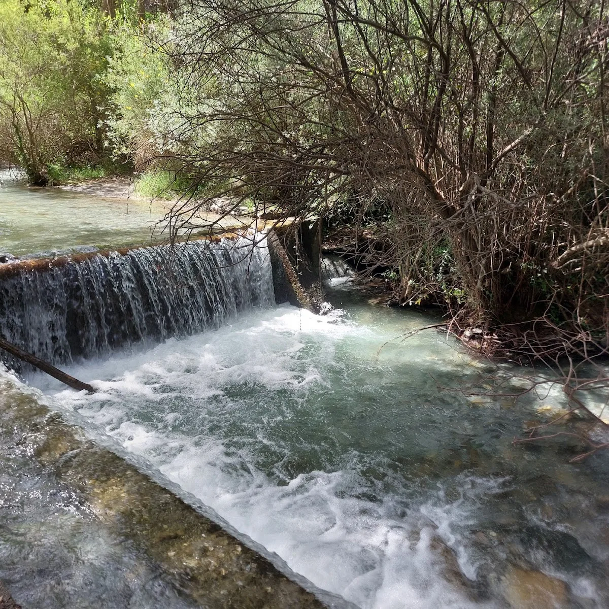 Area Recreativa Rio Dilar