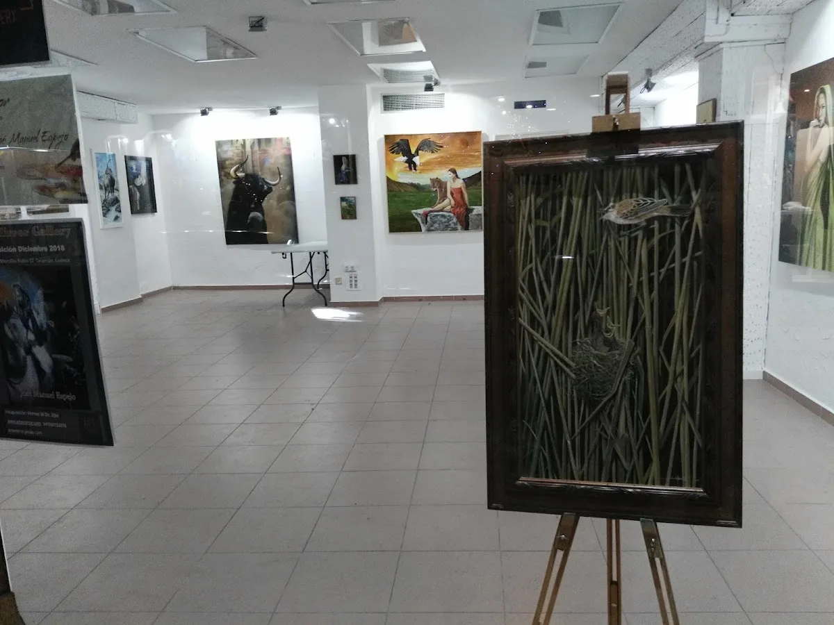 Art Mirror Gallery