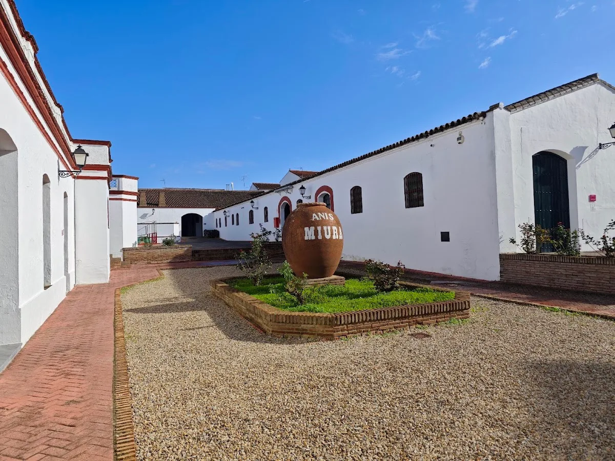 Bodegas Miura