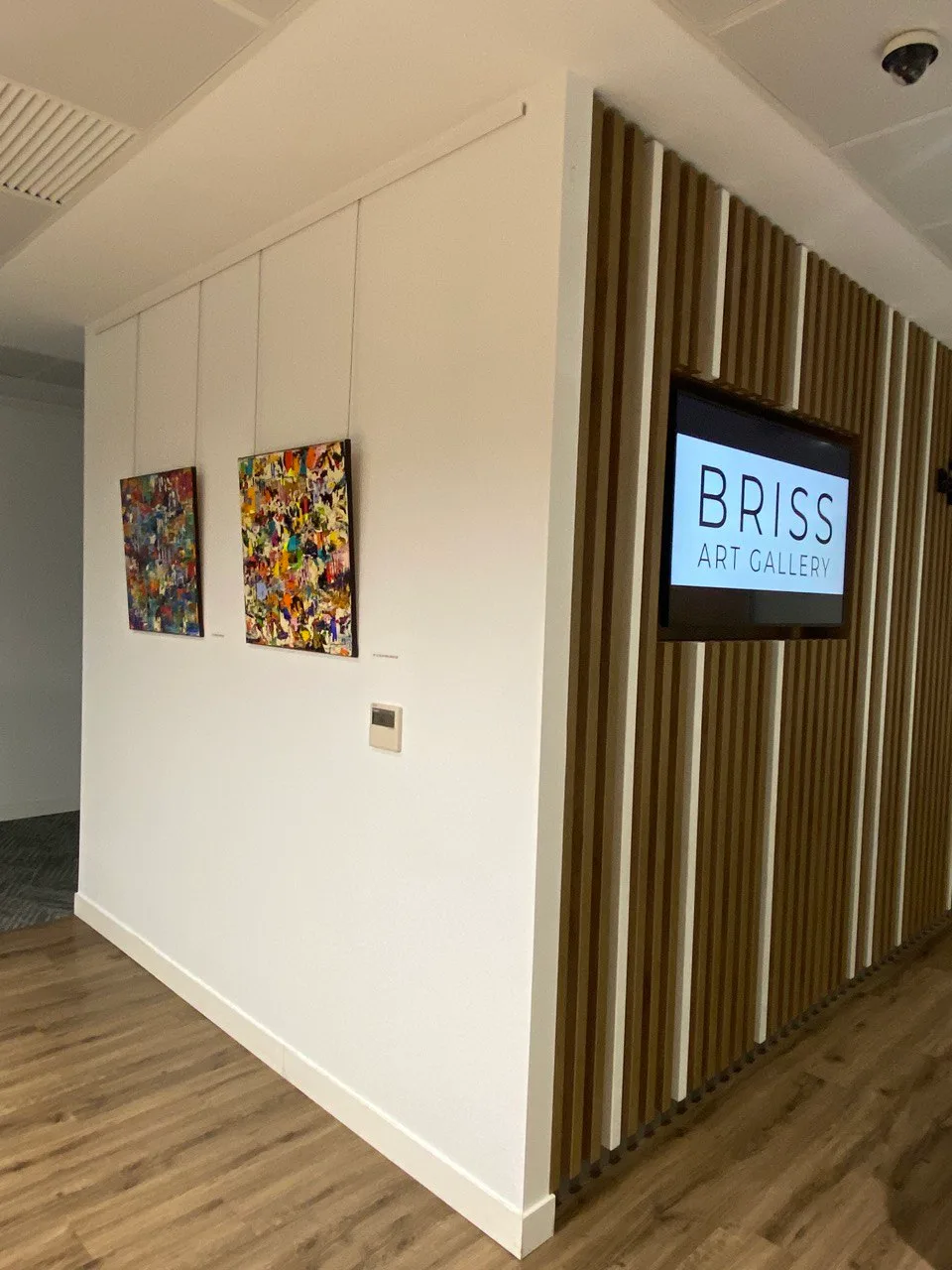 BRISS Art Gallery - Galería de Arte en Donostia San Sebastián - Art Advisors - Consultoría de Arte