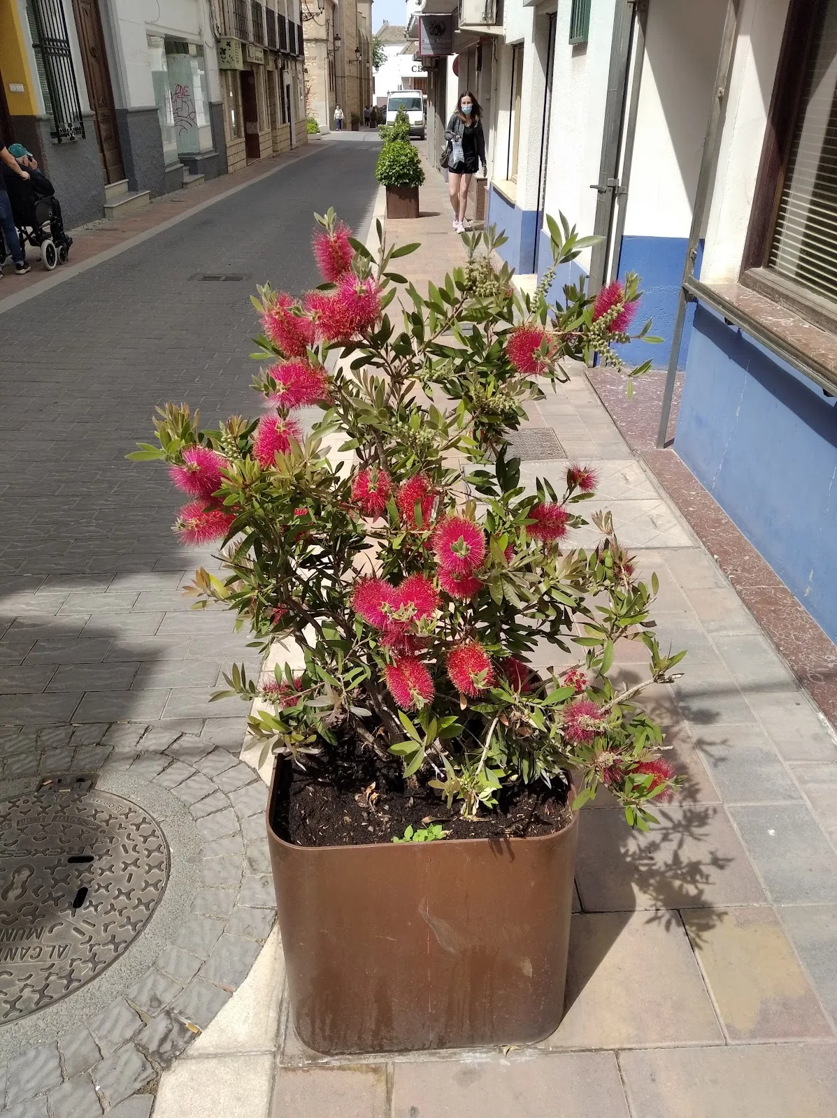 Casa de Cultura de Campo de Criptana