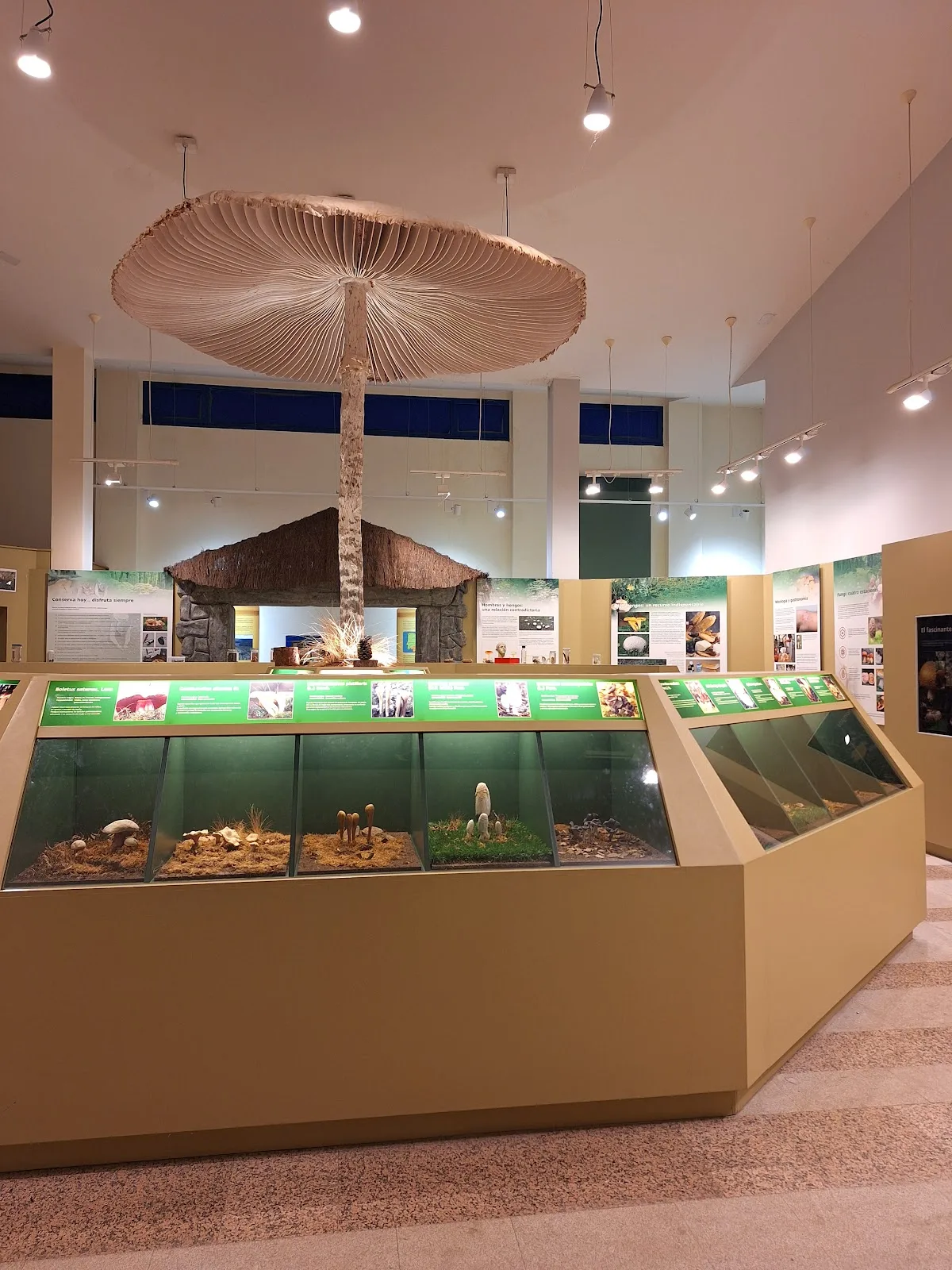 Centro de Interpretación de las Especies Micológicas.