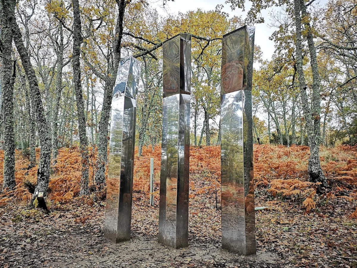 Del espejismo de un bosque - Camino de las Raices