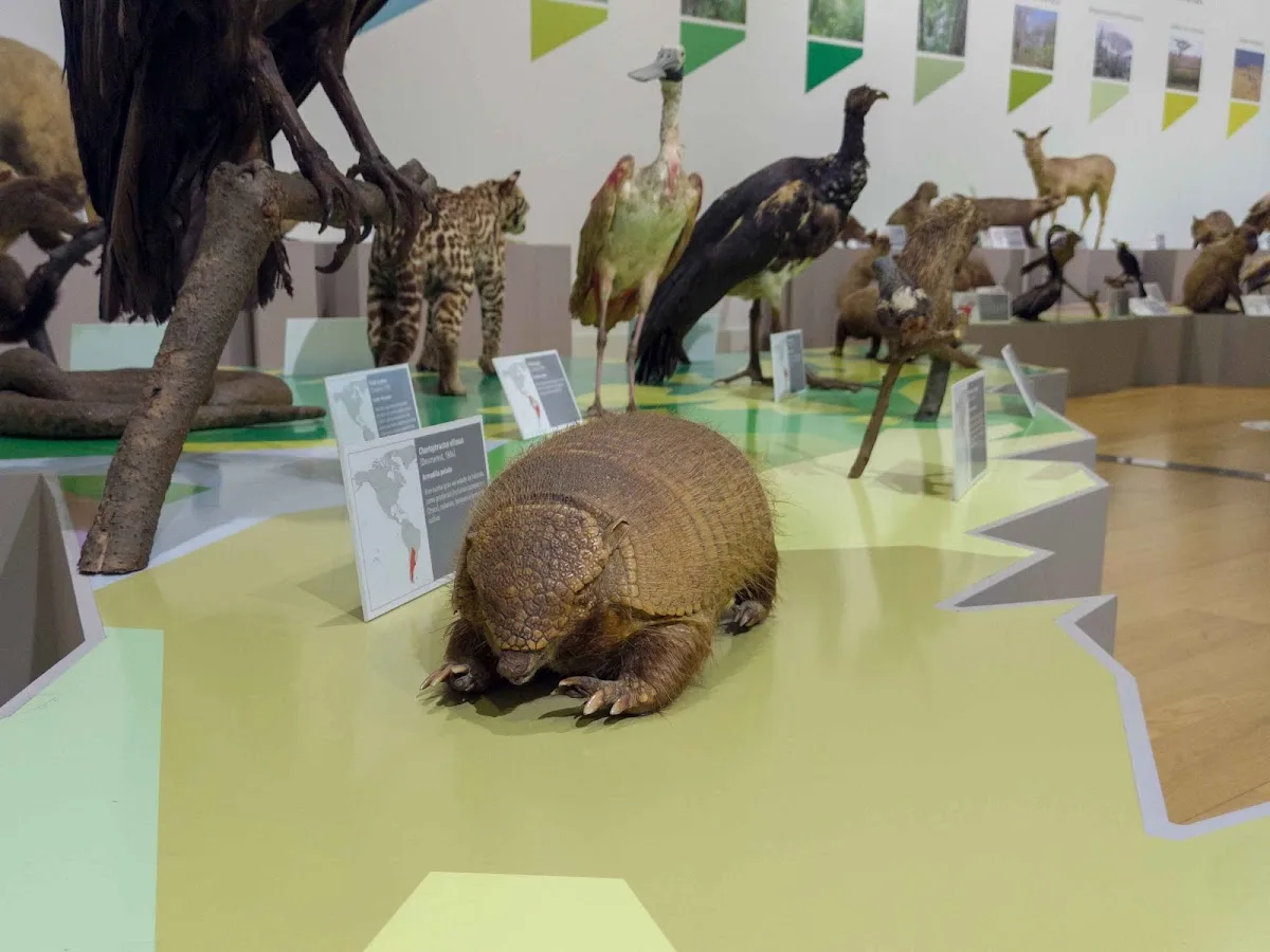 Dinosaur Museum