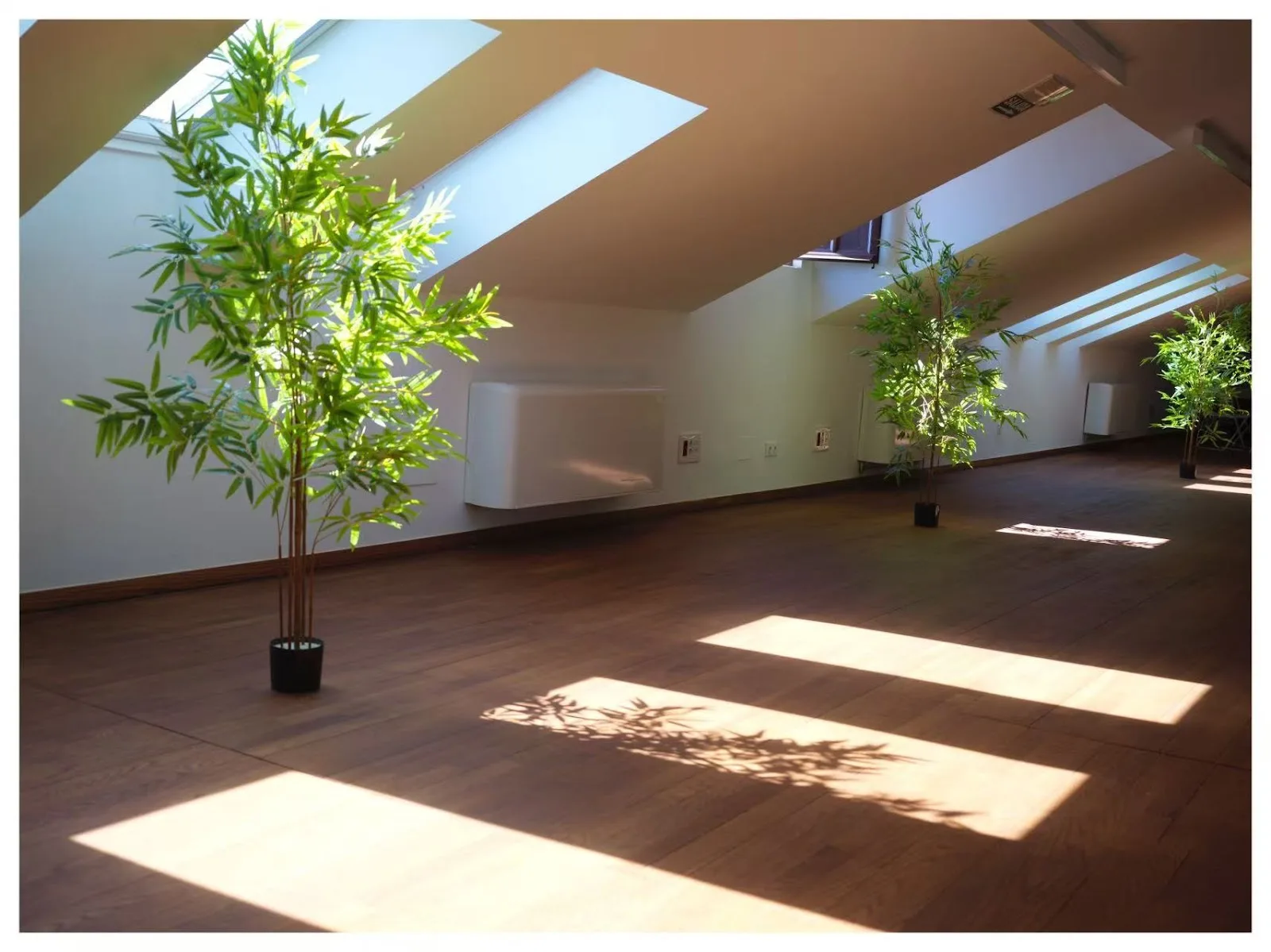 Espacio Cultural "Yǎzhù" (Instituto Confucio de la Universidad de Salamanca)