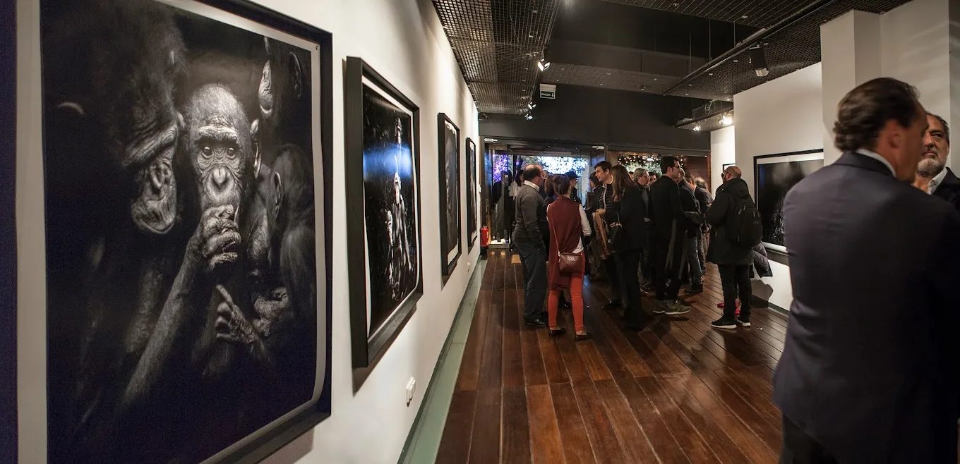 Galería Blanca Berlín