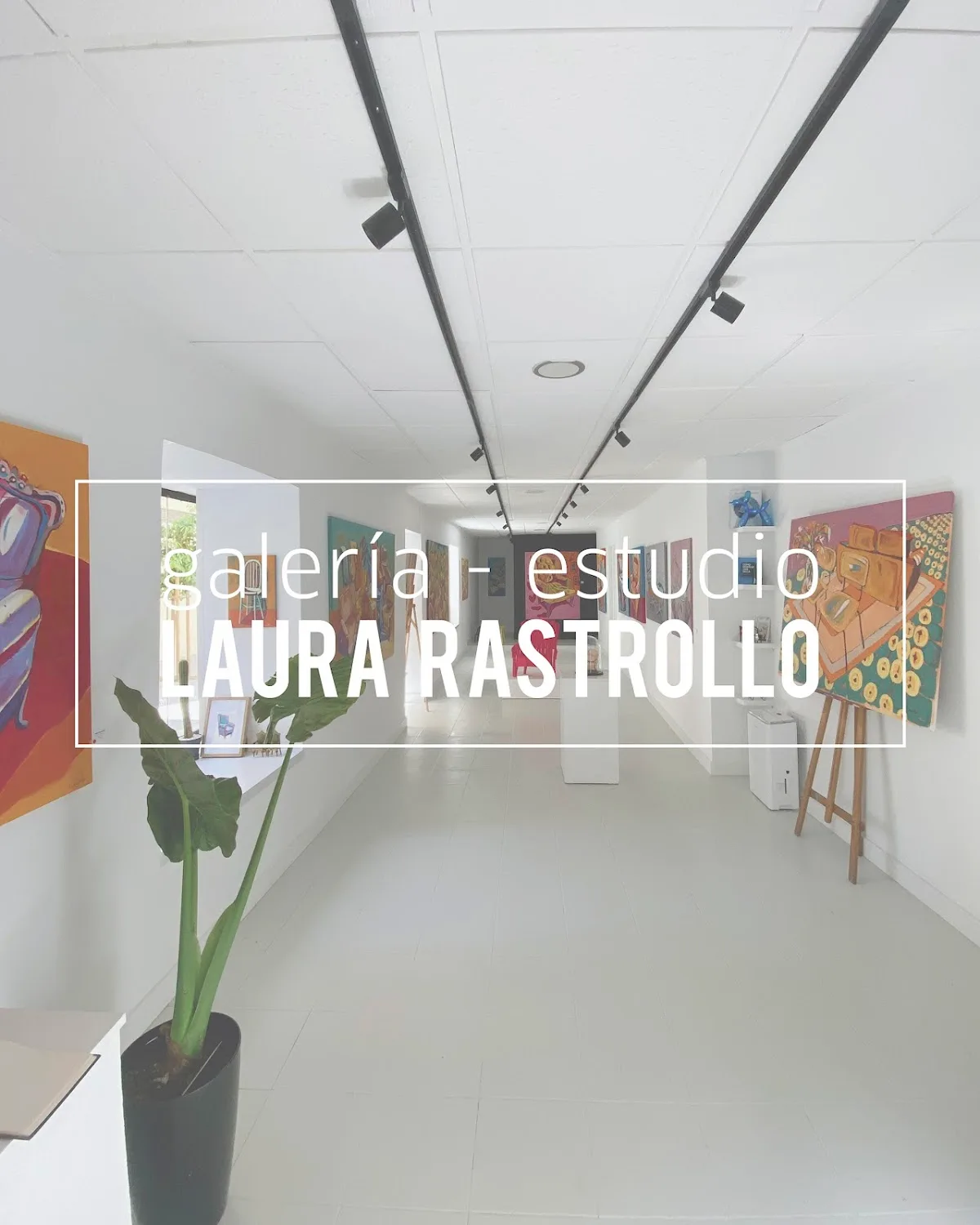 Galería Estudio Laura Rastrollo Lausilla