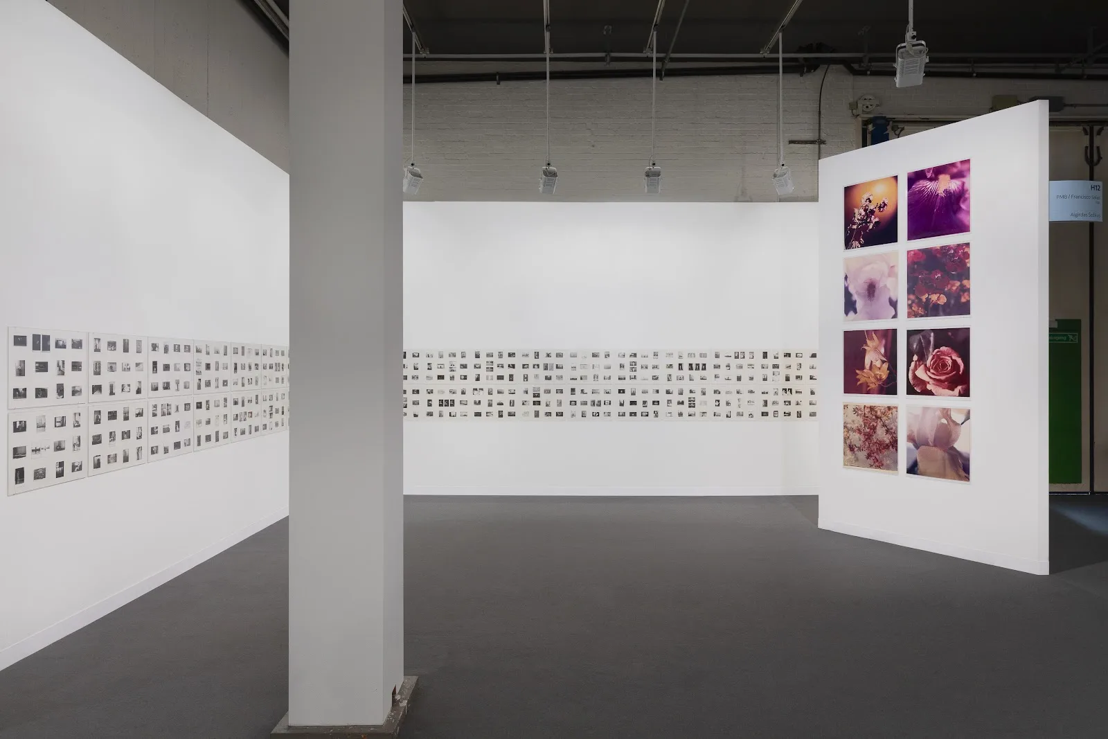 Galería PM8/ Francisco Salas