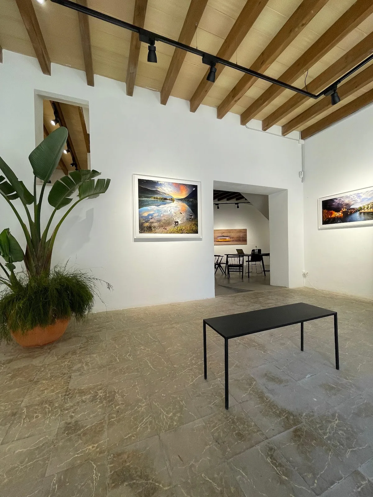 INTHEGALLERY MUSEUM