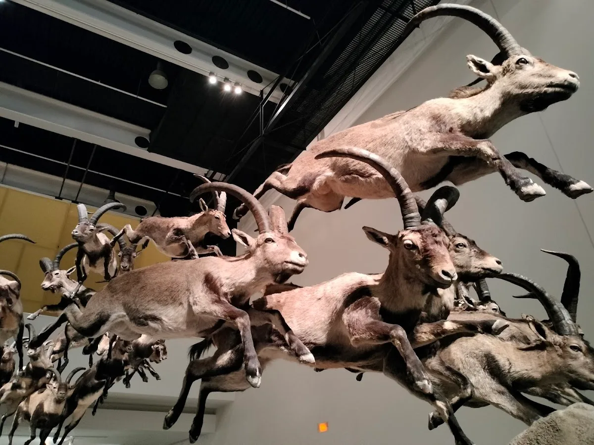 Museo de Ciencias del Instituto Padre Suárez de Granada