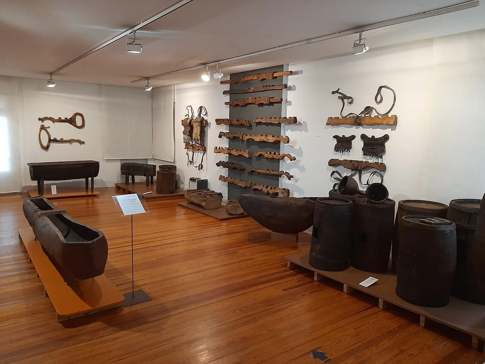 Museo Liste