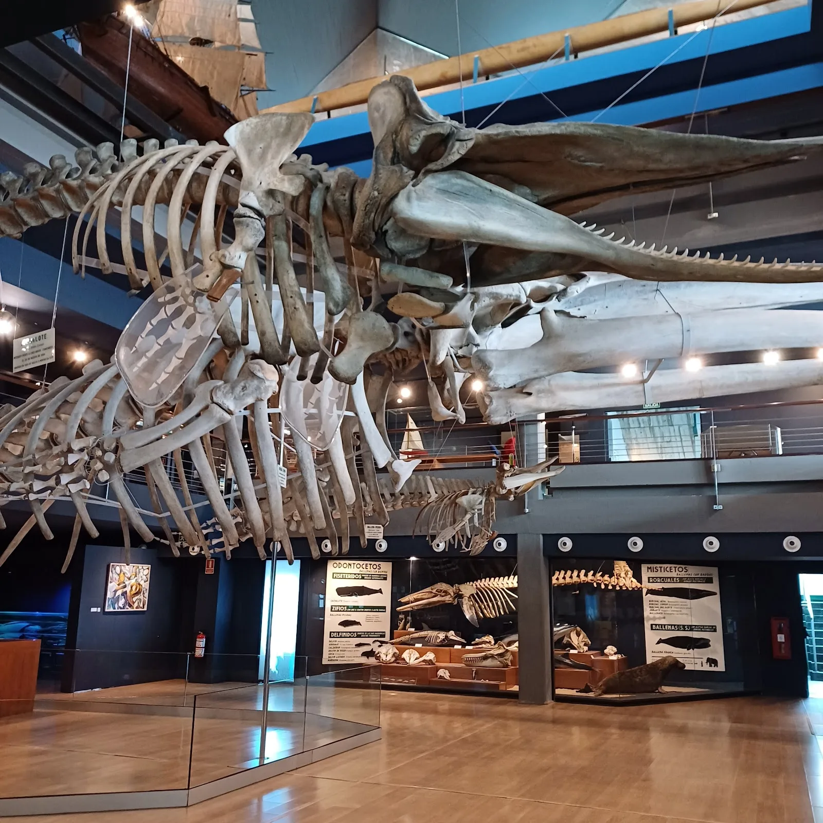 Museo Marítimo del Cantábrico