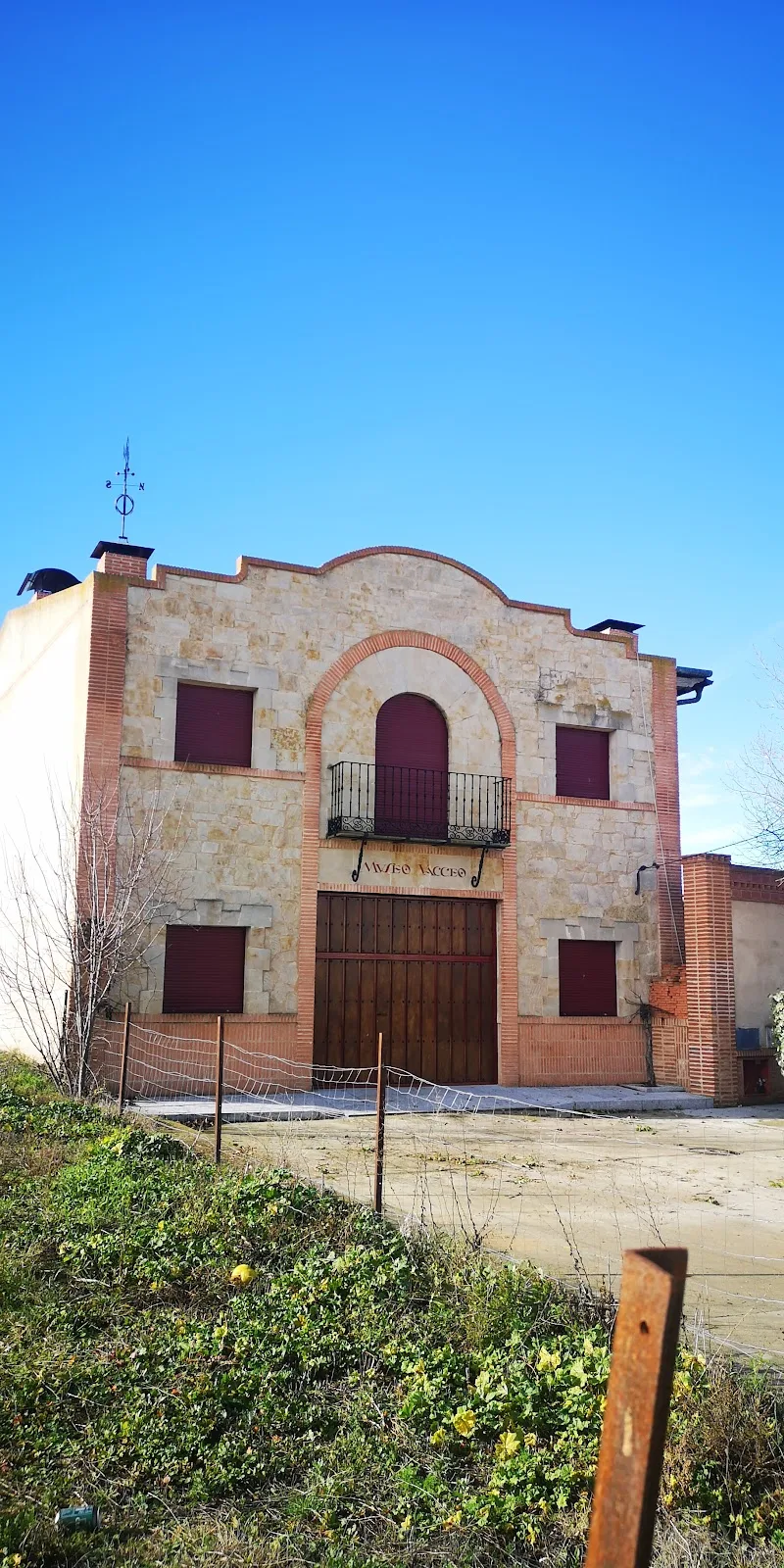 Museo Vacceo