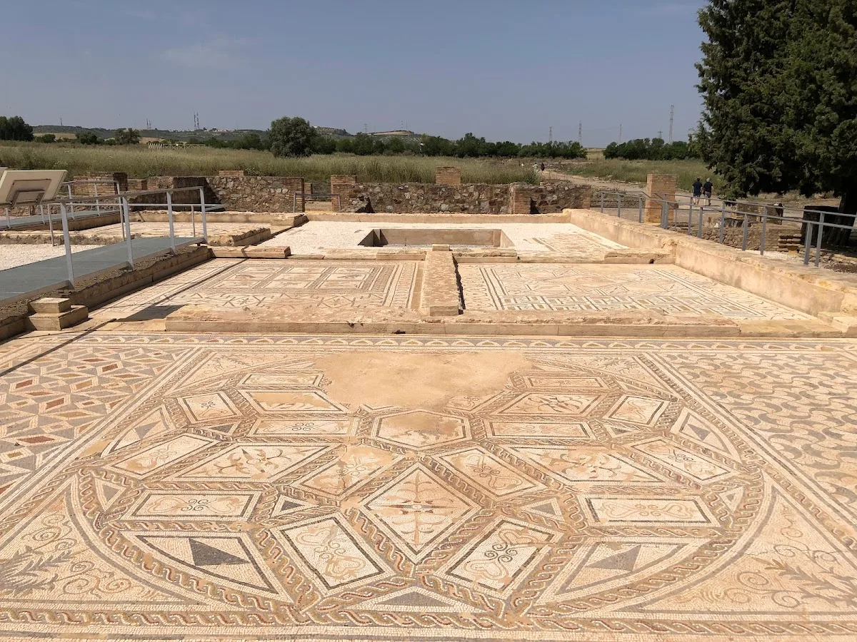 Planetary Mosaic House