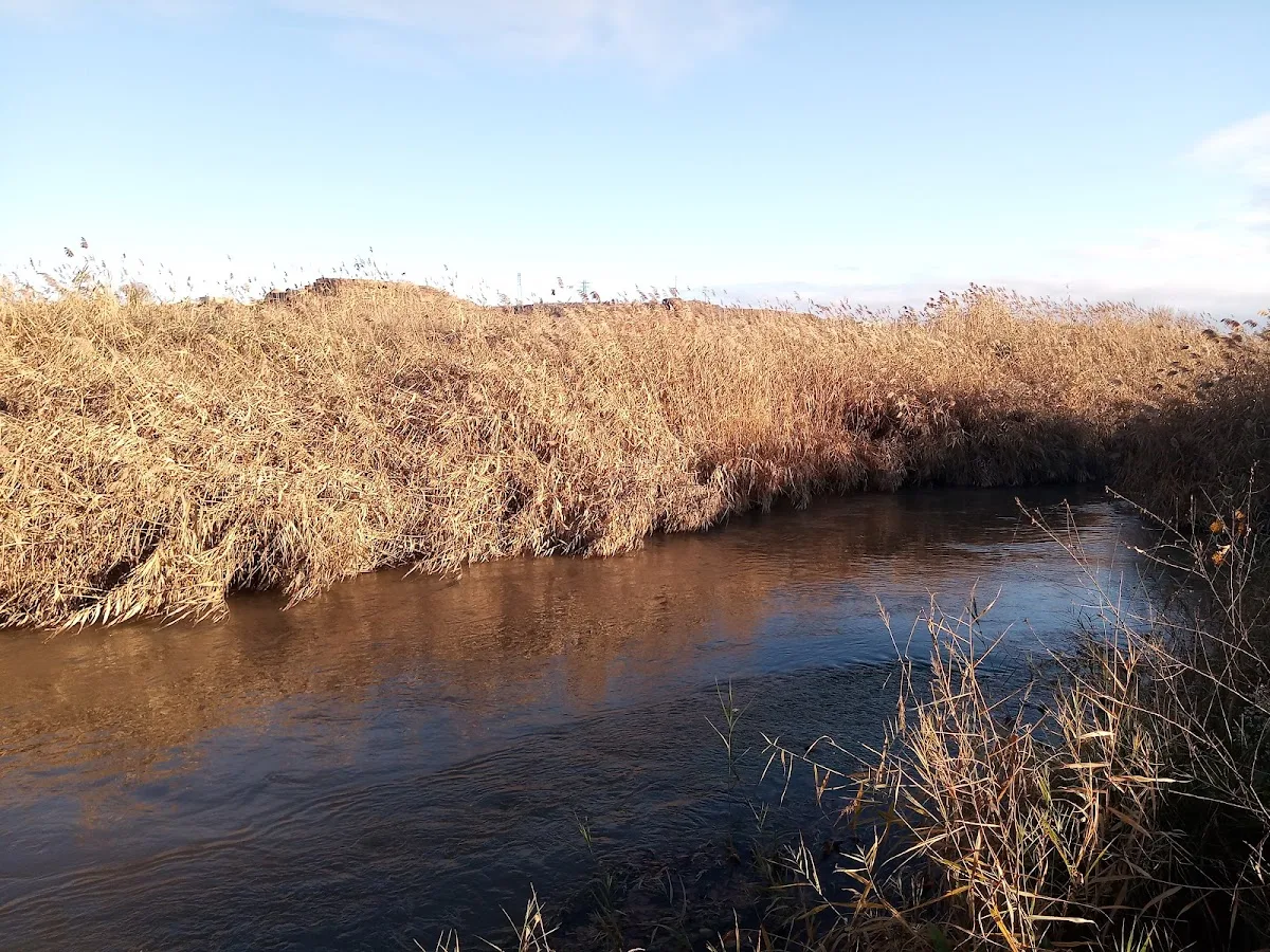 Río Jiloca