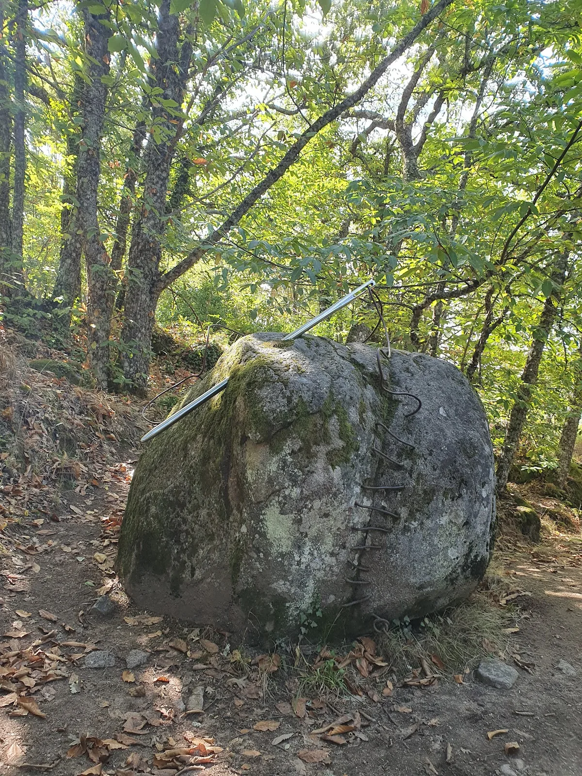 Ruta Bosque de Los Espejos