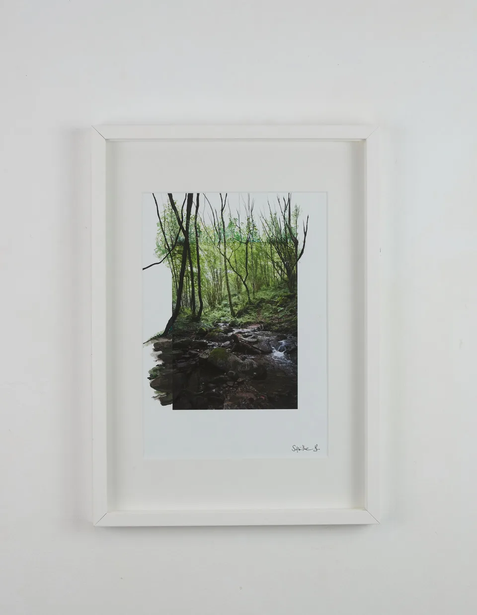 Sakanagallery