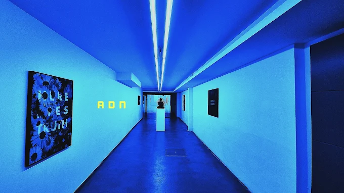 ADN Galeria