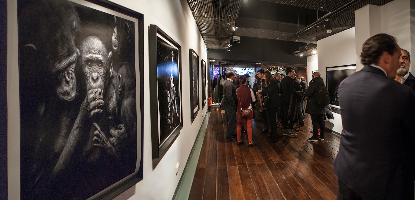 Galería Blanca Berlín