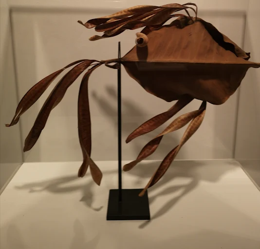 Galería Materna y Herencia