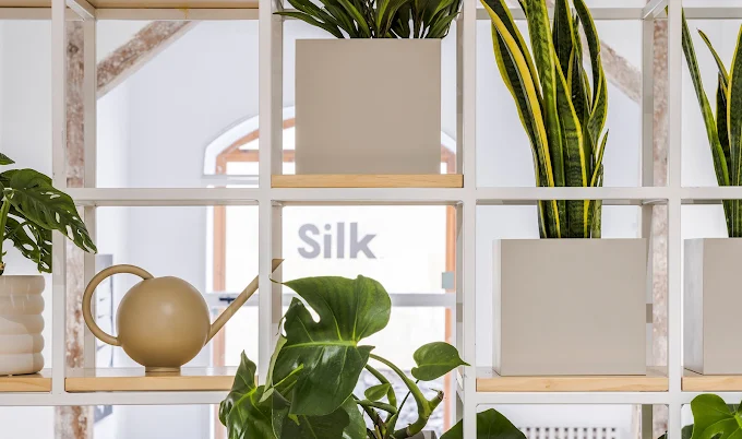Silk Gallery