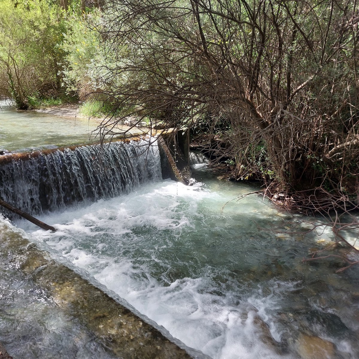 Area Recreativa Rio Dilar