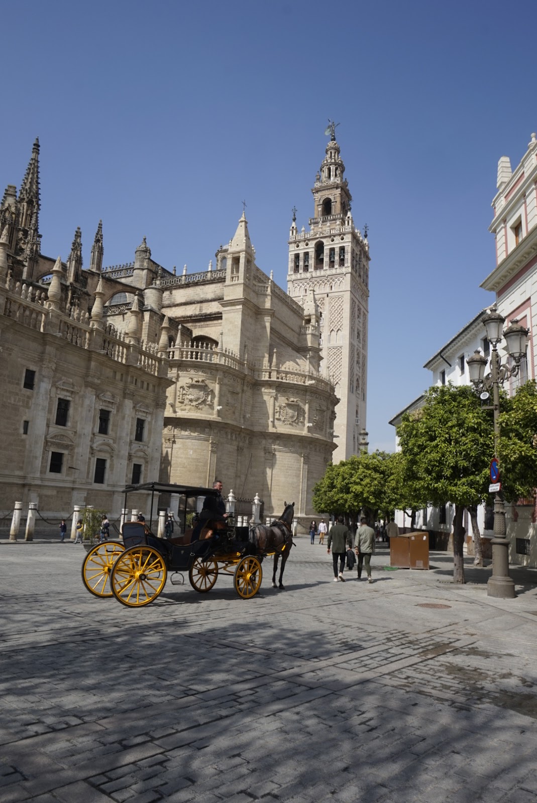 Barrio de Santa Cruz
