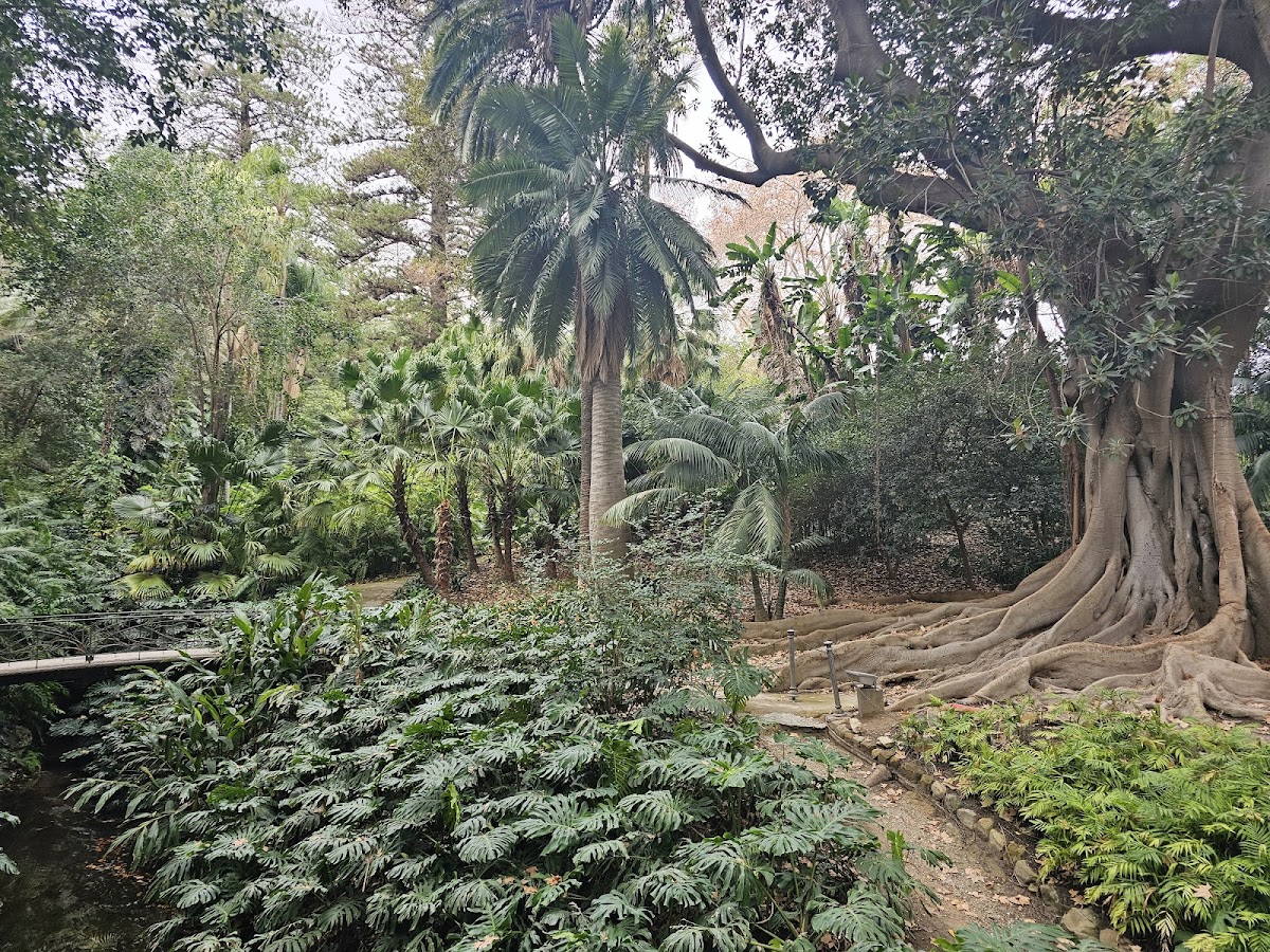 Casa-Palacio La Concepción