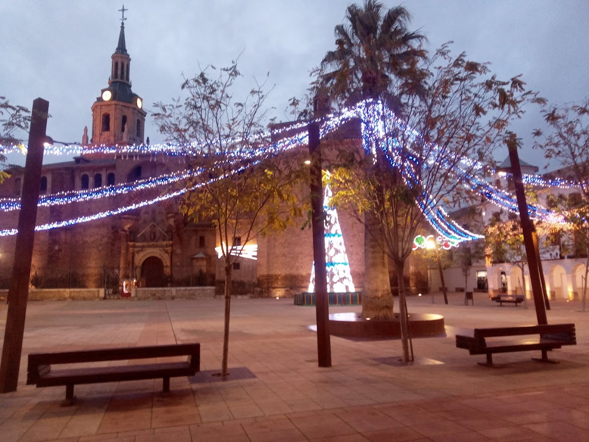 Centro Cultural Municipal "Ciega de Manzanares"