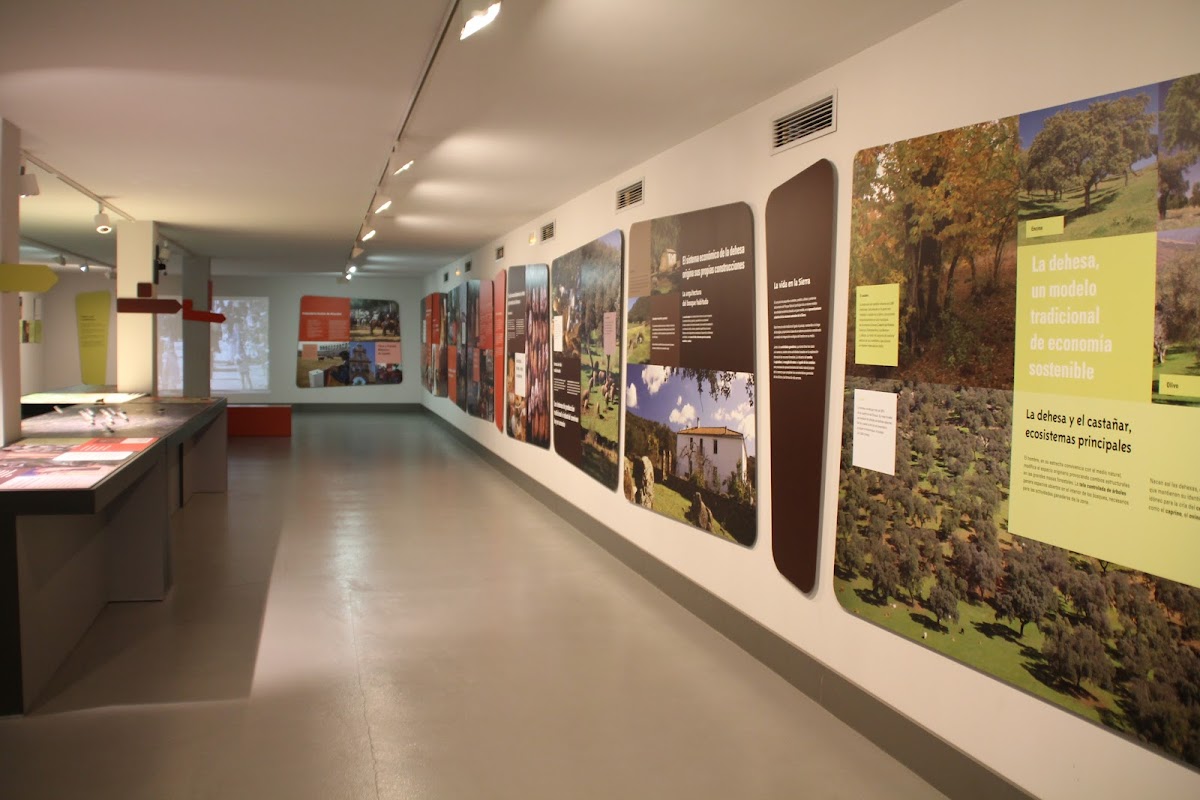 Centro de Interpretación de Aracena y Gabinete Geominero