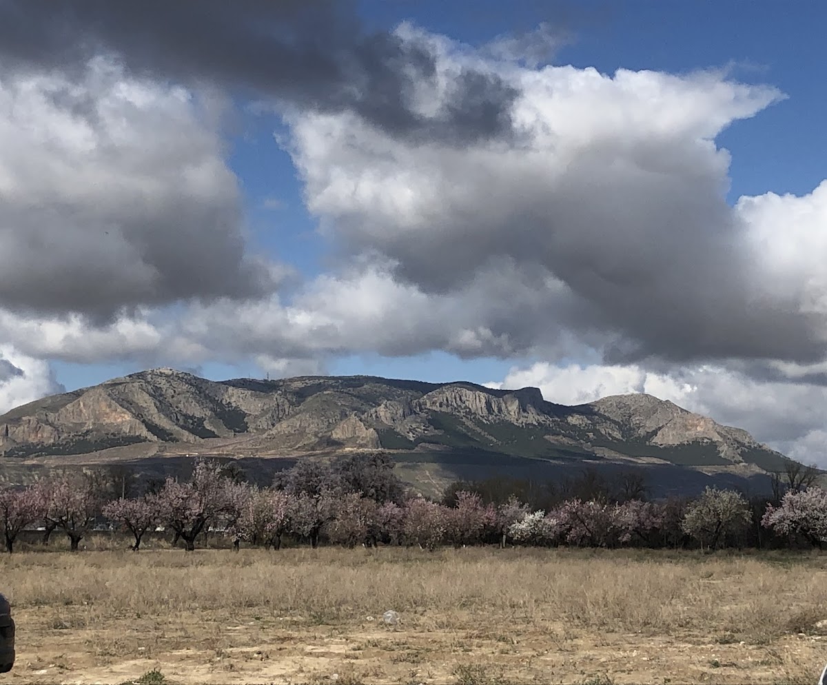 Cerro Cepero