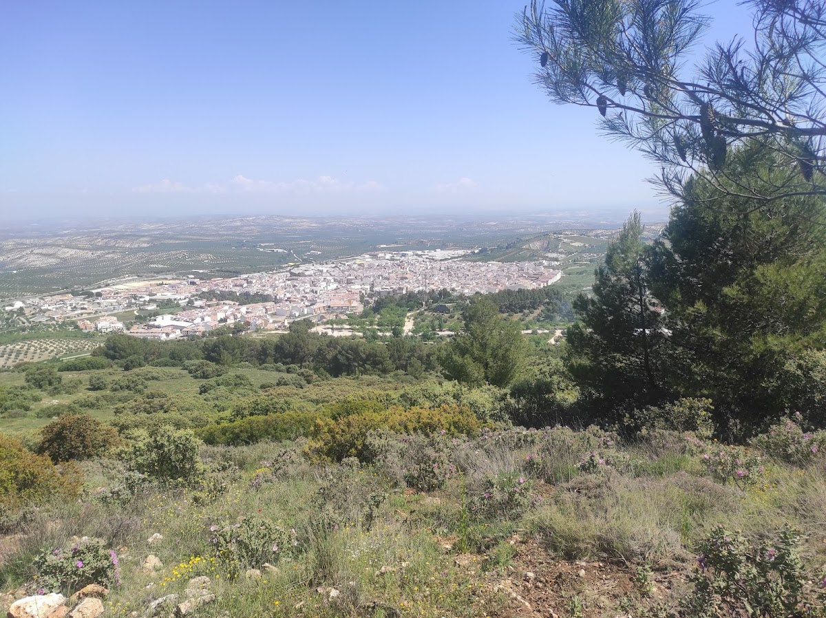 Cerro Miguelico