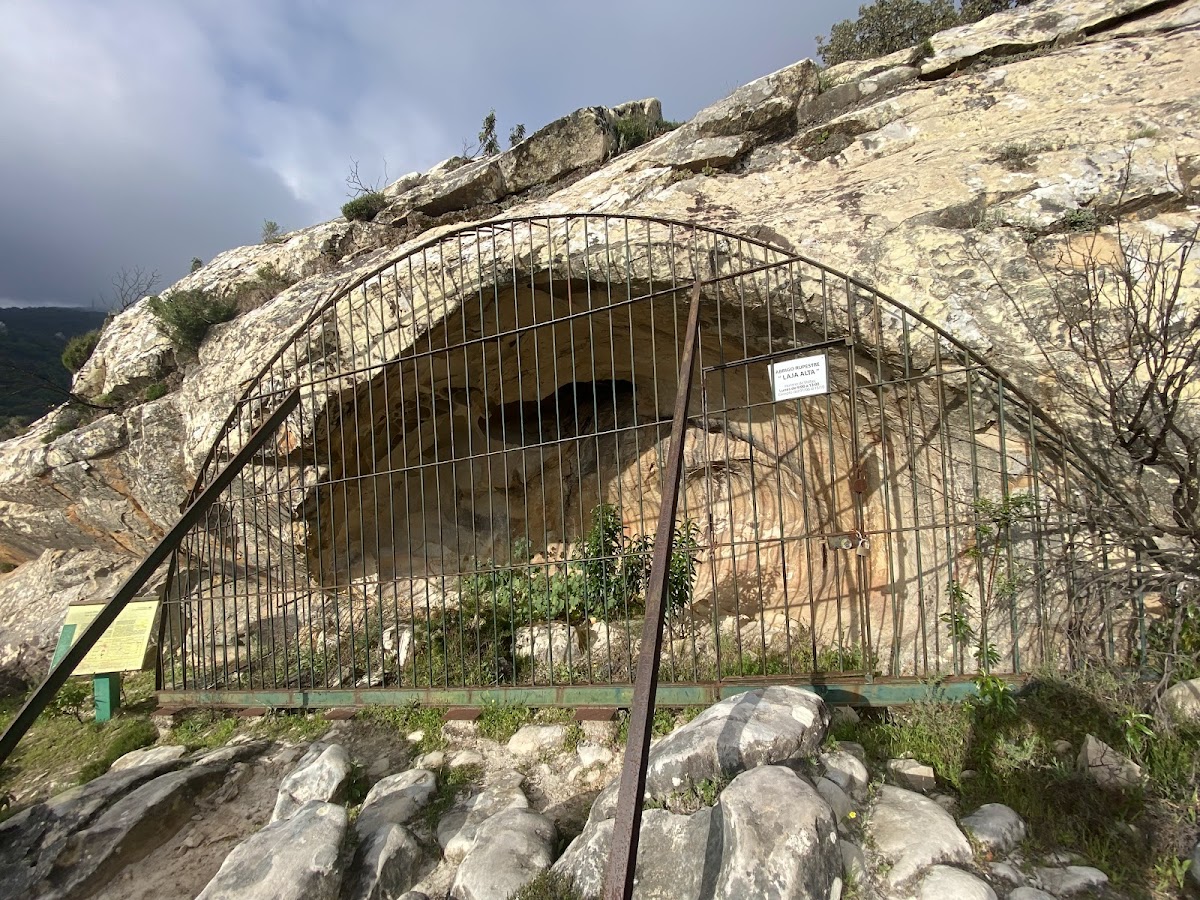 Cueva de Laja Alta