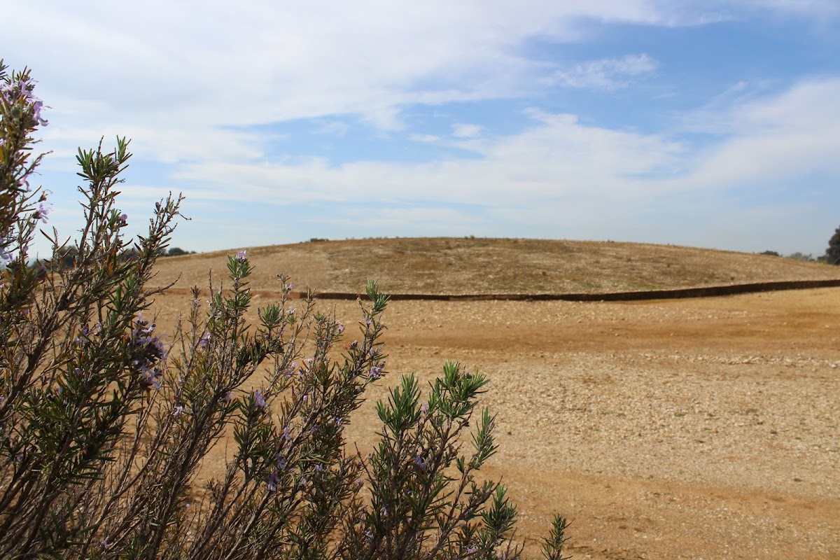 Dolmen de Soto