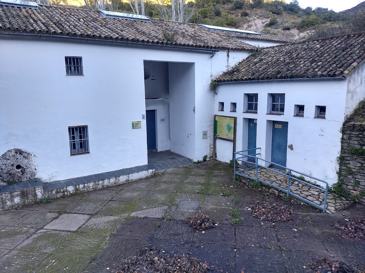 Ecomuseo Del Agua Molino de Benamahoma - Medio Ambiente